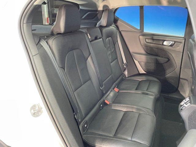 ���㕔���Ȃ��C�ɂȂ�悤�ȃL�Y�E�����ւ��蓙�A�傫�ȃ_���[�W�͂Ȃ��A�ǍD�ȏ�Ԃł��B