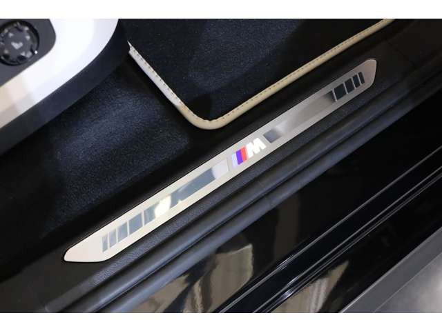 �EBMW Individual �n�C�O���X�V���h�[���C���G�N�X�e���A(�t�����g�G�v�����A�T�C�h�g�����t�B�j�b�V���[�A�E�B���h�[�t���[��)�EBMW Individual�n�C�O���X�V���h�[���C�����[�t���[��