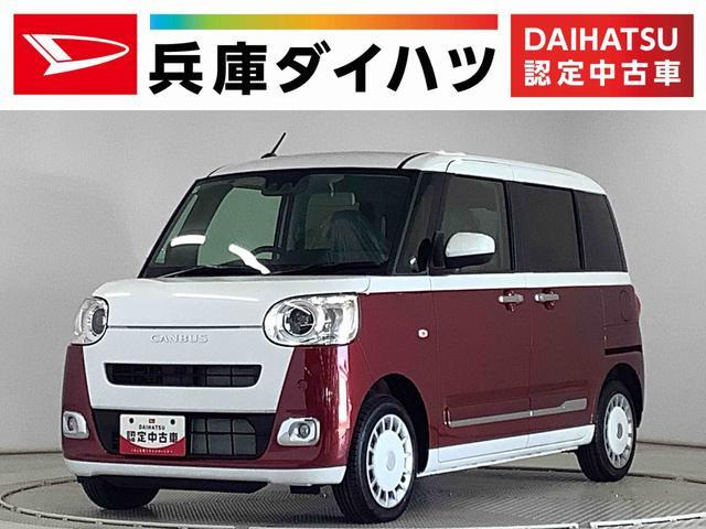 ムーヴキャンバスストライプス G