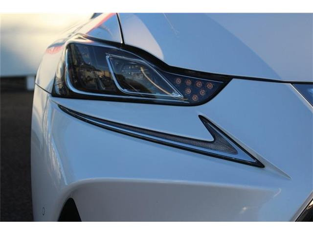 �����X�o���Ȃ����q�l�A���Ǝҗl�ւ̔̔��͂��f�肳���Ă��������܂��B�Ԍ������ԗ��̏ꍇ�́A�Ԍ����擾�������x�������z�ŕ\�����Ă���܂��B