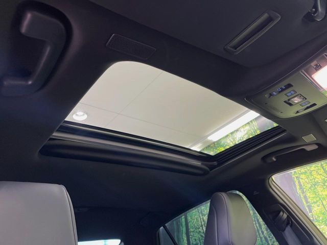 �y�T�����[�t�z�J���������Ղ�̊󏭑����A�T�����[�t����������Ă��܂�!�ԓ��ɖ�����������ꂽ��i�F���y���ވȊO�ɂ��A�ԓ��̋�C���ȒP�Ɋ��C�ł��ĉ��K�ł�!