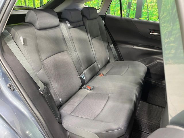 �㕔���Ȃ��C�ɂȂ�悤�ȃL�Y�E�����ւ��蓙�A�傫�ȃ_���[�W�͂Ȃ��A�ǍD�ȏ�Ԃł��B