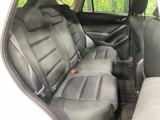 �㕔���Ȃ��C�ɂȂ�悤�ȃL�Y�E�����ւ��蓙�A�傫�ȃ_���[�W�͂Ȃ��A�ǍD�ȏ�Ԃł��B