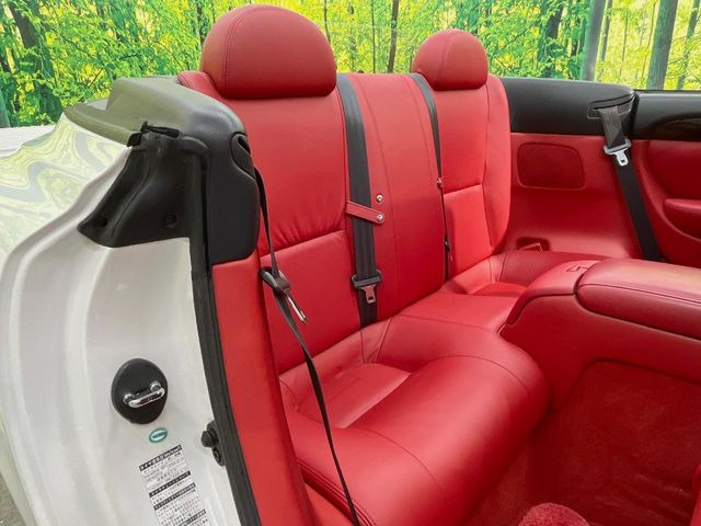 �㕔���Ȃ��C�ɂȂ�悤�ȃL�Y�E�����ւ��蓙�A�傫�ȃ_���[�W�͂Ȃ��A�ǍD�ȏ�Ԃł��B