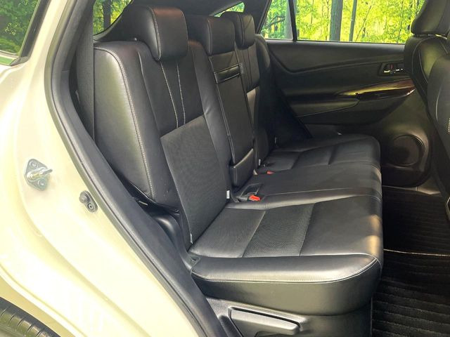 �㕔���Ȃ��C�ɂȂ�悤�ȃL�Y�E�����ւ��蓙�A�傫�ȃ_���[�W�͂Ȃ��A�ǍD�ȏ�Ԃł��B