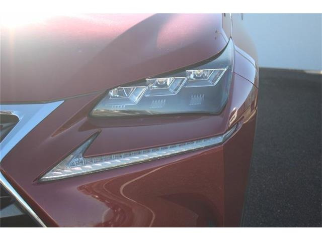 ���Ǝҗl�ւ̔̔��͂��f�肳���Ă��������܂��B �Ԍ������ԗ��̏ꍇ�́A�Ԍ����擾�������x�������z�ŕ\�����Ă���܂��B