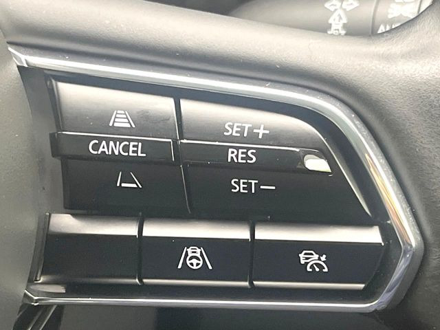 �y�}�c�_�E���[�_�[�N���[�Y�R���g���[���z�������H�ł̒��������s���y��!�����ő��x��ۂN���[�Y�R���g���[�����A�Փˌy���V�X�e���ƘA�g���A�O���̎ԗ������m���ĎԊԂ�ۂ悤�ɑ��x���߂��Ă���܂�!!