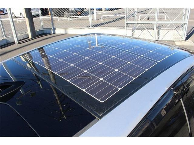 ������肪�����ĂȂ��Ȃ��C�ɓ��������Ԃ��Ȃ������̂��q�l!�S���̃I�[�N�V��������s�b�^����1���T�����Ƃ��\�ł��B���Ј�x���₢���킹���������B