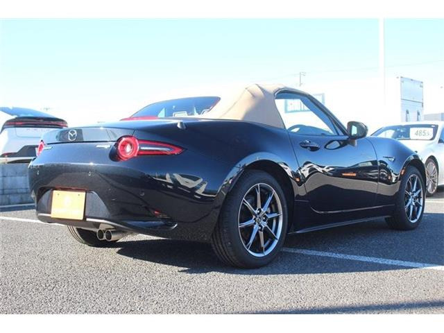 ���Ǝҗl�ւ̔̔��͂��f�肳���Ă��������܂��B �Ԍ������ԗ��̏ꍇ�́A�Ԍ����擾�������x�������z�ŕ\�����Ă���܂��B