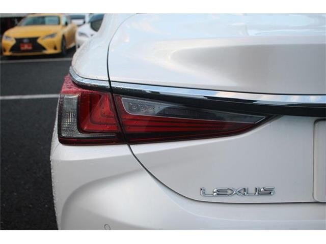 ���Ǝҗl�ւ̔̔��͂��f�肳���Ă��������܂��B �Ԍ������ԗ��̏ꍇ�́A�Ԍ����擾�������x�������z�ŕ\�����Ă���܂��B