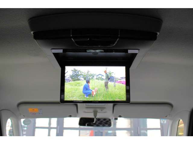 ��ȃ��j�^�[