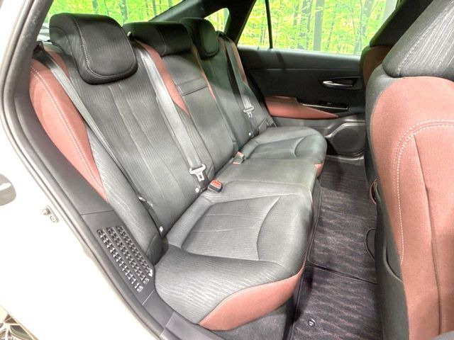 �㕔���Ȃ��C�ɂȂ�悤�ȃL�Y�E�����ւ��蓙�A�傫�ȃ_���[�W�͂Ȃ��A�ǍD�ȏ�Ԃł��B