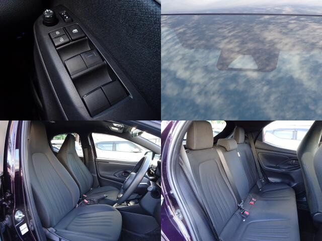 �^�]�ȋy�я���Ȃ��傫�ȎC����Ȃ���ԗǍD�ł��B