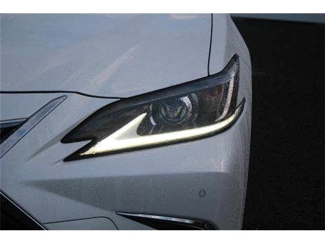 ���Ǝҗl�ւ̔̔��͂��f�肳���Ă��������܂��B �Ԍ������ԗ��̏ꍇ�́A�Ԍ����擾�������x�������z�ŕ\�����Ă���܂��B