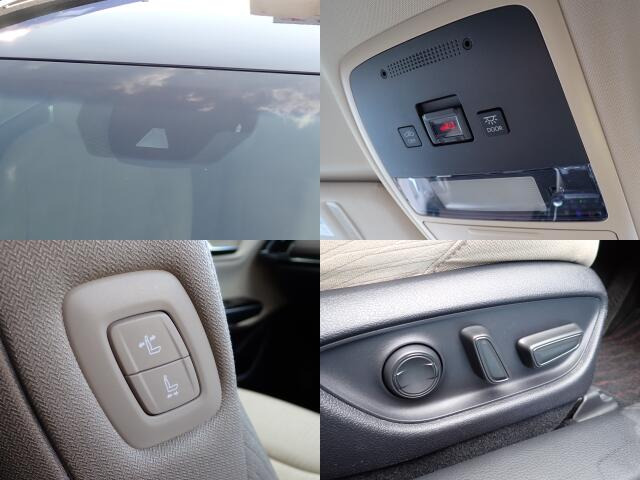 �p���[�V�[�g�ɂȂ�܂��B