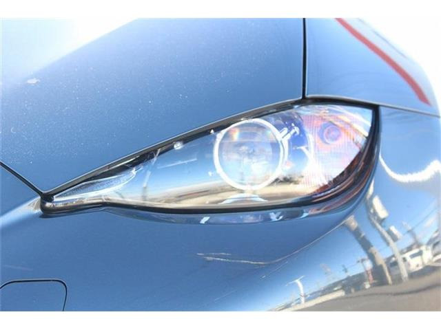 ���Ǝҗl�ւ̔̔��͂��f�肳���Ă��������܂��B �Ԍ������ԗ��̏ꍇ�́A�Ԍ����擾�������x�������z�ŕ\�����Ă���܂��B