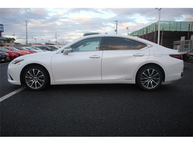 ���Ǝҗl�ւ̔̔��͂��f�肳���Ă��������܂��B �Ԍ������ԗ��̏ꍇ�́A�Ԍ����擾�������x�������z�ŕ\�����Ă���܂��B