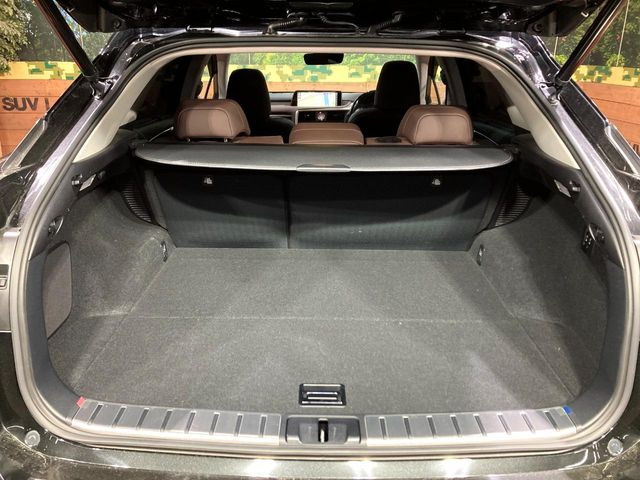 ���i�̂���������ʋ΁A���}���ɏ\���ȉ׎��X�y�[�X���m�ۂ��Ă���܂��B�Z�J���h�V�[�g��|���ƁA�傫�ȉו��̐ύڂ��\�ł���