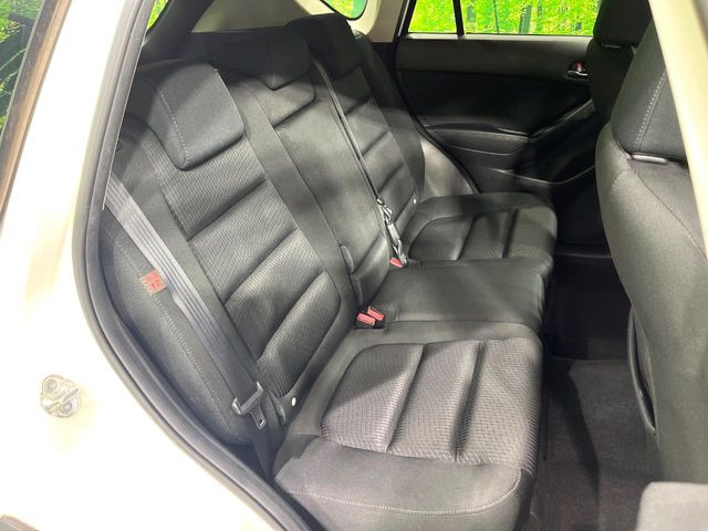 �㕔���Ȃ��C�ɂȂ�悤�ȃL�Y�E�����ւ��蓙�A�傫�ȃ_���[�W�͂Ȃ��A�ǍD�ȏ�Ԃł��B