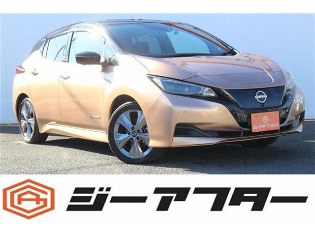 リーフ（日産）X Vセレクション　寒冷地仕様 純正9インチナビ 中古車画像