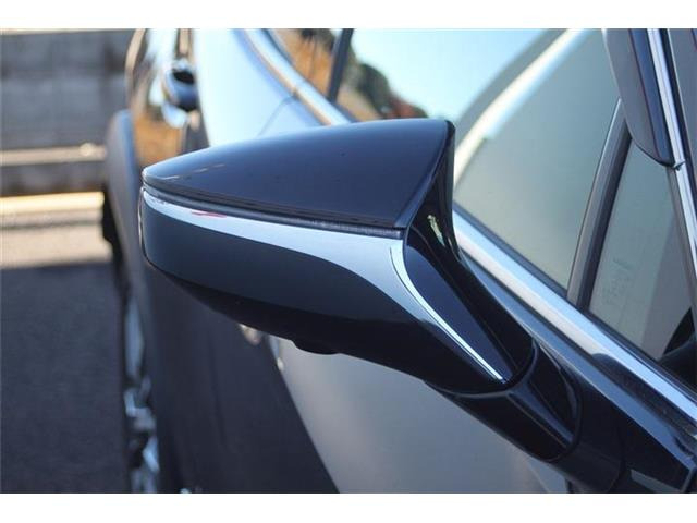 ���Ǝҗl�ւ̔̔��͂��f�肳���Ă��������܂��B �Ԍ������ԗ��̏ꍇ�́A�Ԍ����擾�������x�������z�ŕ\�����Ă���܂��B