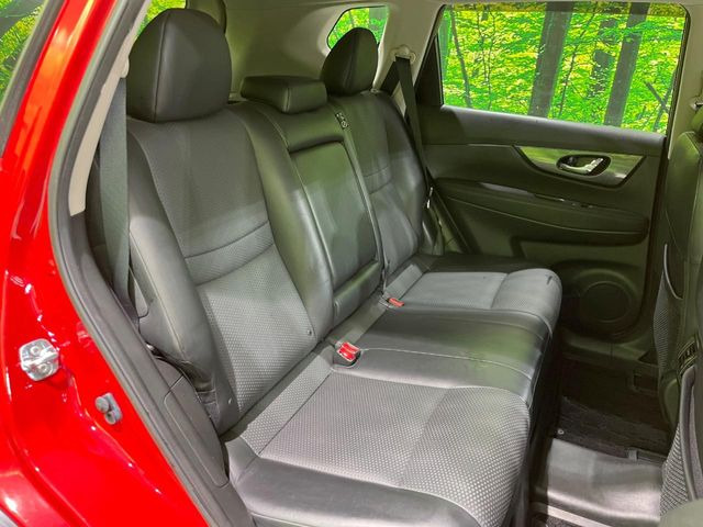 �㕔���Ȃ��C�ɂȂ�悤�ȃL�Y�E�����ւ��蓙�A�傫�ȃ_���[�W�͂Ȃ��A�ǍD�ȏ�Ԃł��B