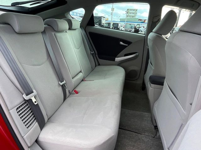 �㕔���Ȃ��C�ɂȂ�悤�ȃL�Y�E�����ւ��蓙�A�傫�ȃ_���[�W�͂Ȃ��A�ǍD�ȏ�Ԃł��B