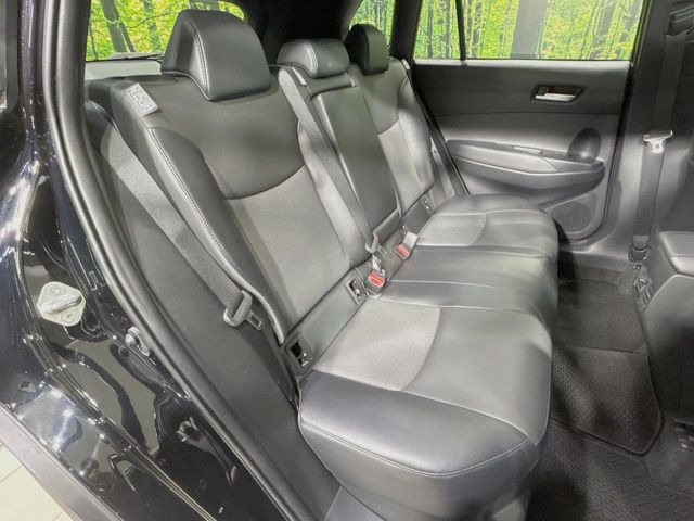 �㕔���Ȃ��C�ɂȂ�悤�ȃL�Y�E�����ւ��蓙�A�傫�ȃ_���[�W�͂Ȃ��A�ǍD�ȏ�Ԃł��B