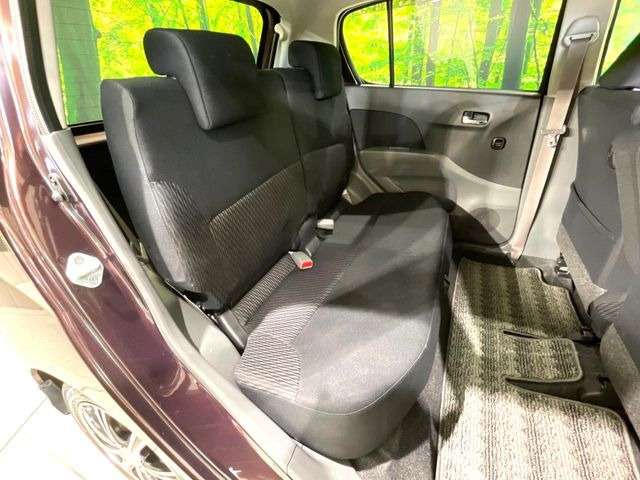 �㕔���Ȃ��C�ɂȂ�悤�ȃL�Y�E�����ւ��蓙�A�傫�ȃ_���[�W�͂Ȃ��A�ǍD�ȏ�Ԃł��B