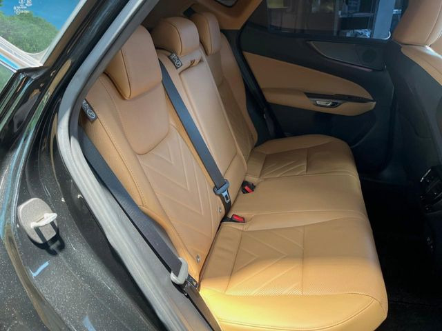 �㕔���Ȃ��C�ɂȂ�悤�ȃL�Y�E�����ւ��蓙�A�傫�ȃ_���[�W�͂Ȃ��A�ǍD�ȏ�Ԃł��B