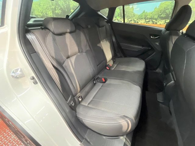 �㕔���Ȃ��C�ɂȂ�悤�ȃL�Y�E�����ւ��蓙�A�傫�ȃ_���[�W�͂Ȃ��A�ǍD�ȏ�Ԃł��B