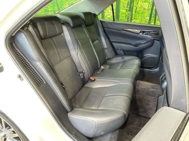 �㕔���Ȃ��C�ɂȂ�悤�ȃL�Y�E�����ւ��蓙�A�傫�ȃ_���[�W�͂Ȃ��A�ǍD�ȏ�Ԃł��B