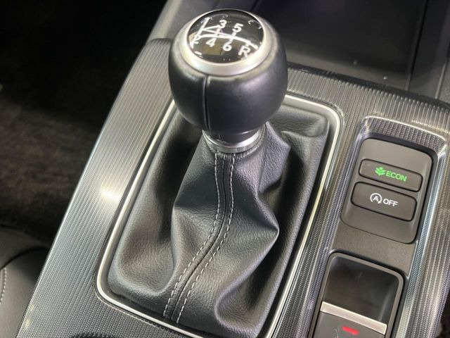 �y�t���A6��MT�z�����6��MT!!�X�|�[�e�B�[�ȑ��s�����y���݂��������܂���