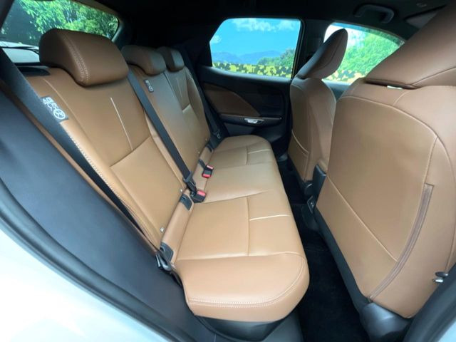 �㕔���Ȃ��C�ɂȂ�悤�ȃL�Y�E�����ւ��蓙�A�傫�ȃ_���[�W�͂Ȃ��A�ǍD�ȏ�Ԃł��B