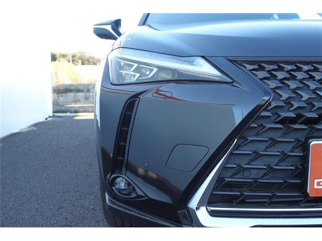 ���Ǝҗl�ւ̔̔��͂��f�肳���Ă��������܂��B �Ԍ������ԗ��̏ꍇ�́A�Ԍ����擾�������x�������z�ŕ\�����Ă���܂��B