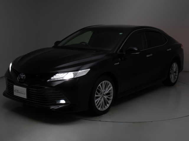 �t�����g�r���[�̑��݊���������������!!�w�b�h���C�g�͎��E�ǍD�̃��C�g�A����Ƀt�H�O���C�g���ځB�f�U�C�����������̂������ł��B