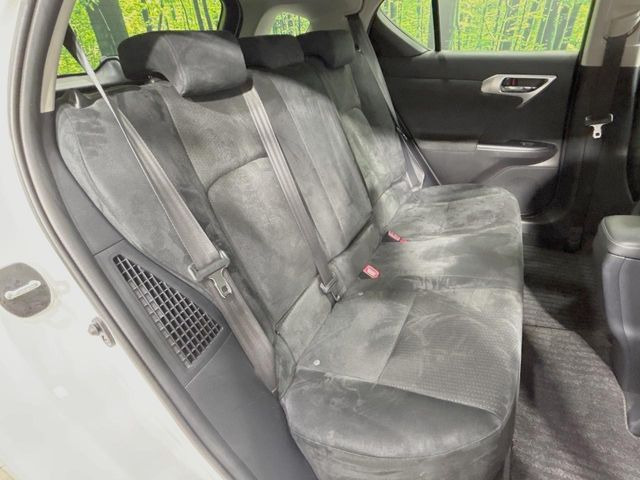 �㕔���Ȃ��C�ɂȂ�悤�ȃL�Y�E�����ւ��蓙�A�傫�ȃ_���[�W�͂Ȃ��A�ǍD�ȏ�Ԃł��B