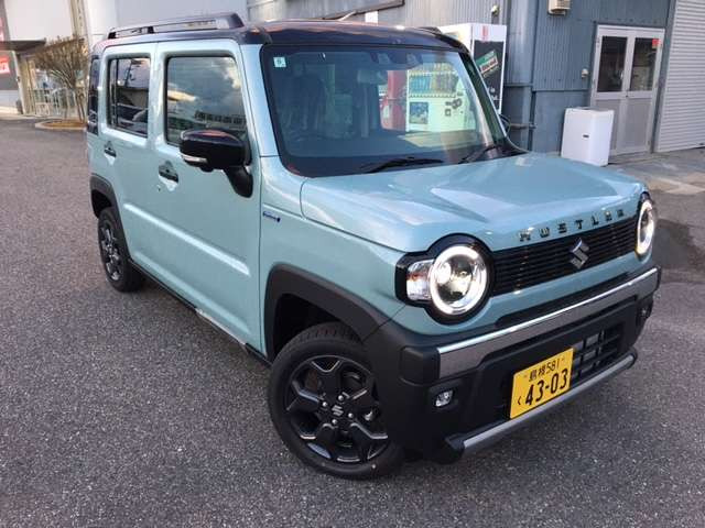 ハスラータフワイルド