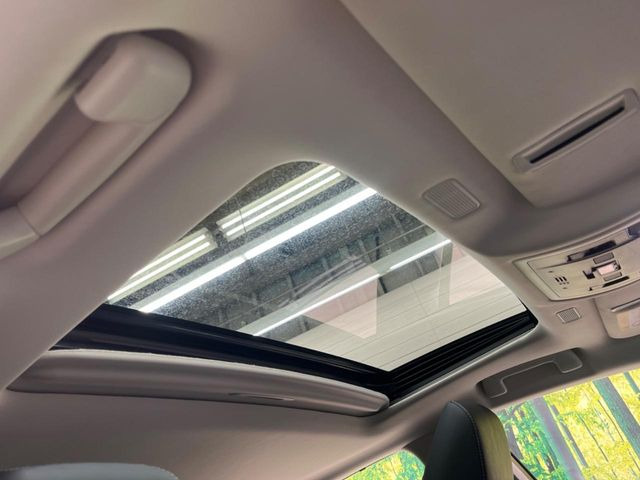 �y���[�����[�t�z�J���������Ղ�̊󏭑����A���[�����[�t����������Ă��܂�!�ԓ��ɖ�����������ꂽ��i�F���y���ވȊO�ɂ��A�ԓ��̋�C���ȒP�Ɋ��C�ł��ĉ��K�ł�!