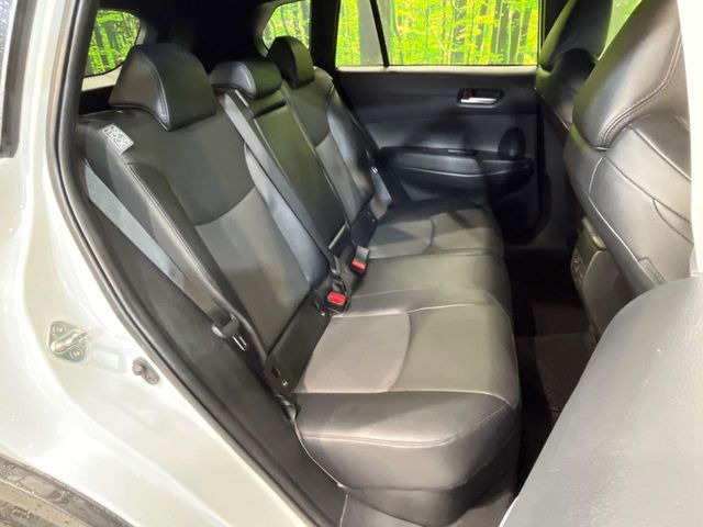 �㕔���Ȃ��C�ɂȂ�悤�ȃL�Y�E�����ւ��蓙�A�傫�ȃ_���[�W�͂Ȃ��A�ǍD�ȏ�Ԃł��B