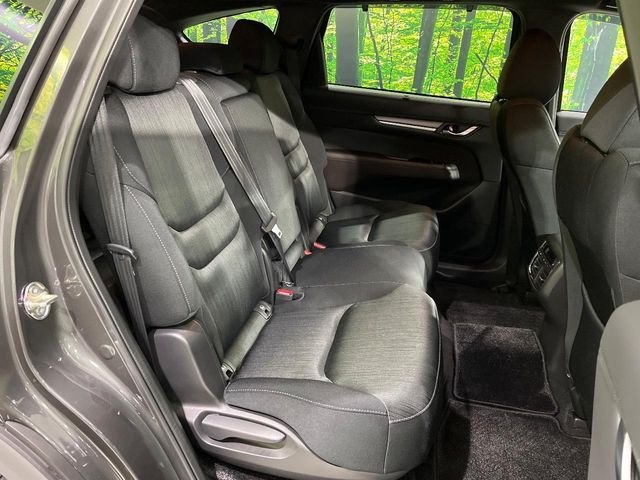 �㕔���Ȃ��C�ɂȂ�悤�ȃL�Y�E�����ւ��蓙�A�傫�ȃ_���[�W�͂Ȃ��A�ǍD�ȏ�Ԃł��B