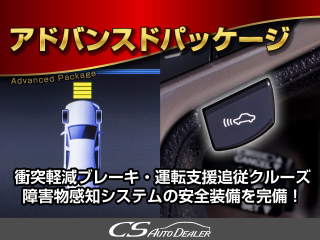 �Փˉ���x���^�v���N���b�V���Z�[�t�e�B�V�X�e�� �O���ɏo��������Q���ɑ΂��x��𔭂��A�h���C�o�[�Ɍx���B�����Ƀu���[�L�A�V�X�g�ɂ��Փˉ���Ƒ��x���y�����܂��B