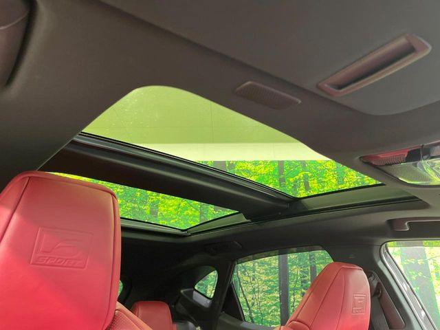 �y�T�����[�t�z�J���������Ղ�̊󏭑����A�T�����[�t����������Ă��܂�!�ԓ��ɖ�����������ꂽ��i�F���y���ވȊO�ɂ��A�ԓ��̋�C���ȒP�Ɋ��C�ł��ĉ��K�ł�!