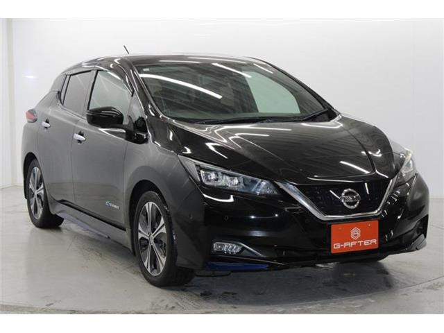 ���Ǝҗl�ւ̔̔��͂��f�肳���Ă��������܂��B �Ԍ������ԗ��̏ꍇ�́A�Ԍ����擾�������x�������z�ŕ\�����Ă���܂��B