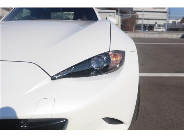 ���Ǝҗl�ւ̔̔��͂��f�肳���Ă��������܂��B �Ԍ������ԗ��̏ꍇ�́A�Ԍ����擾�������x�������z�ŕ\�����Ă���܂��B