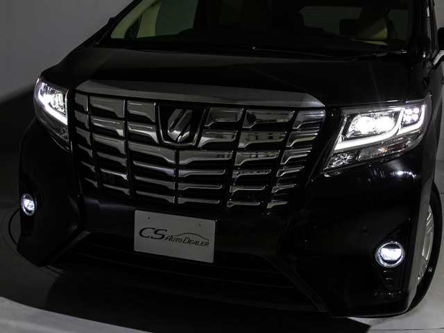 �I�[�g���[���Ɋւ��邲�s���A���s���_�A�Ȃ�ł������k������!���ё���!