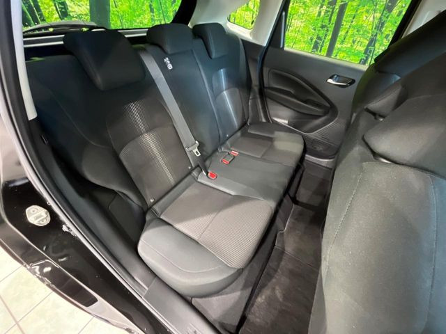 �㕔���Ȃ��C�ɂȂ�悤�ȃL�Y�E�����ւ��蓙�A�傫�ȃ_���[�W�͂Ȃ��A�ǍD�ȏ�Ԃł��B