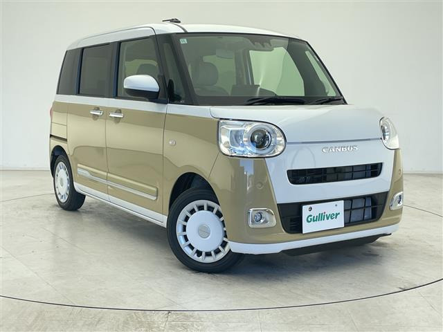 ムーヴキャンバスストライプス G