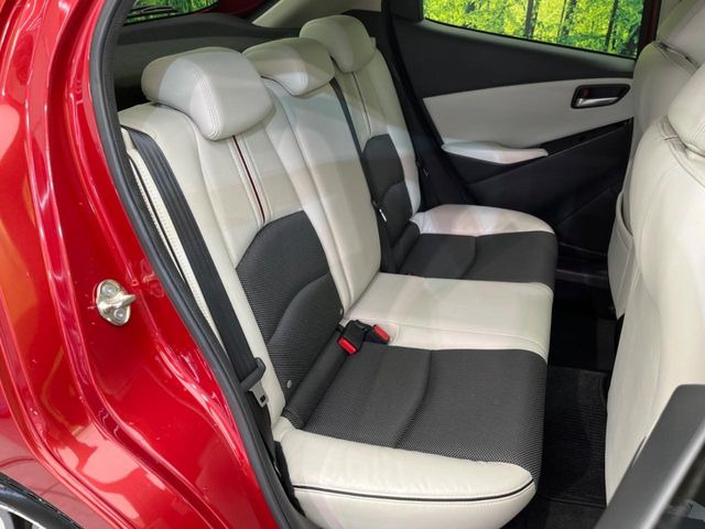 �㕔���Ȃ��C�ɂȂ�悤�ȃL�Y�E�����ւ��蓙�A�傫�ȃ_���[�W�͂Ȃ��A�ǍD�ȏ�Ԃł��B