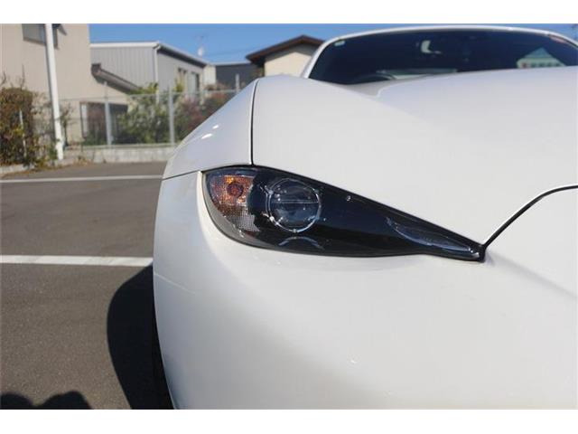 ���Ǝҗl�ւ̔̔��͂��f�肳���Ă��������܂��B �Ԍ������ԗ��̏ꍇ�́A�Ԍ����擾�������x�������z�ŕ\�����Ă���܂��B